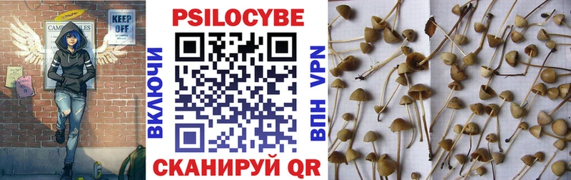 omg ССЫЛКА  Якутск  Галлюциногенные грибы мухоморы  где можно купить  